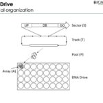biomemory_dna-drive-pool