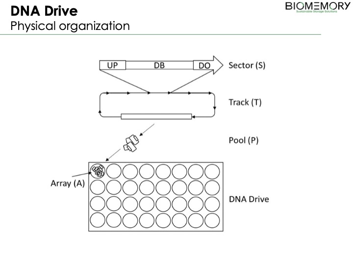 DNA Drive Biomemory