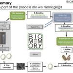 biomemory_part-of-process