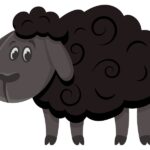 black-sheep