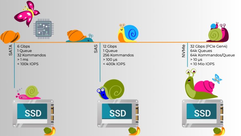 RAID für SSDs? Warum nicht.